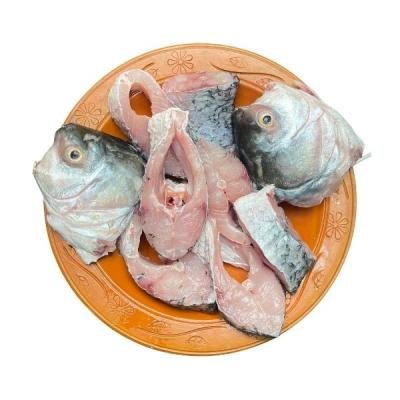 পুকুরের কাতল মাছ